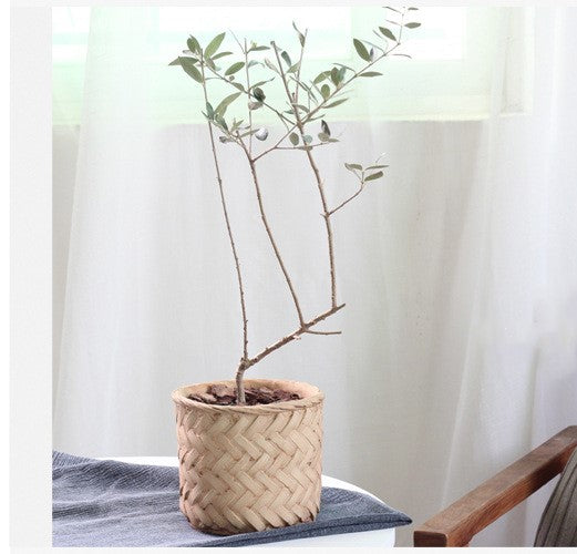 Blumentopf aus Bambus